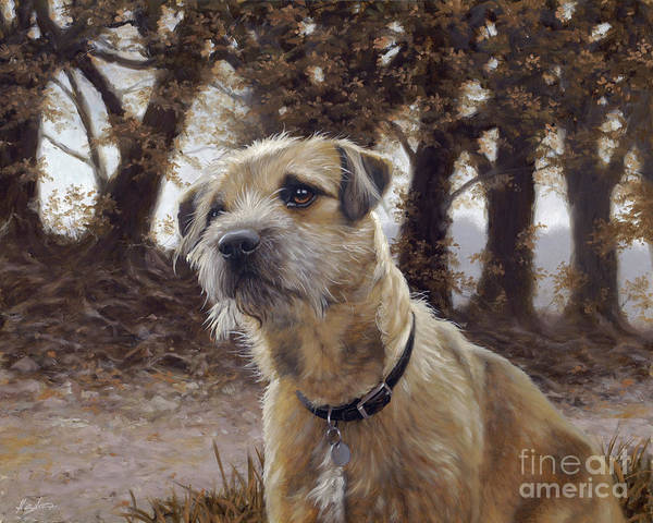 Border Terrier, Brian Seymour Vesey-Fitzgerald, peat bog, moss hole