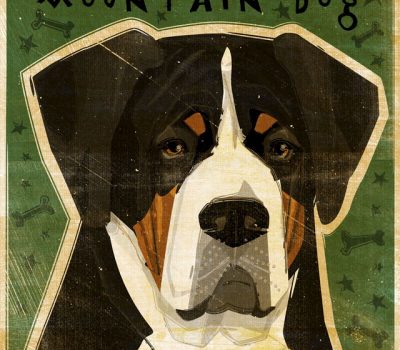 Grosser Schweizer Sennehund, Greater Swiss Mountain Dog, J. Frederick,Patricia Hoffman, Perrin G. Rademacher,August A. Busch Jr