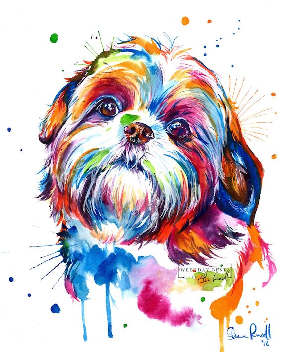 National shih best sale tzu day