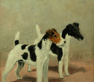 Wire Fox Terrier,Smooth Fox Terrier,Delabere Blaine,history