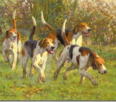 Duke of Beaufort, English Foxhound,foxhunt