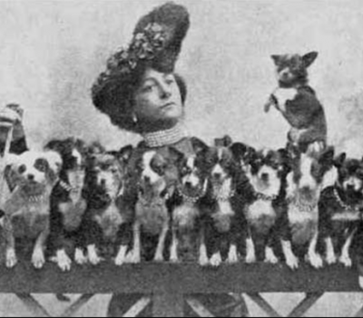 Chihuahua, E. Ruth Terry,Rosina Casselli,