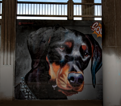 public art, Doberman Pinscher, Patrick Kane McGregor,Duct-Work 2