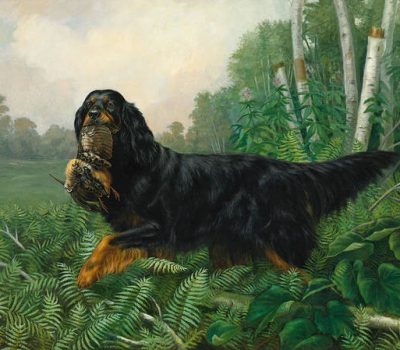 Gordon Setter, Gordon Castle,history, Sir George Gordon Lennox, Thomas William Coke, Gordon Castle Setter