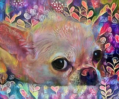 Chihuahua