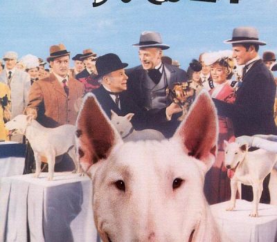 Bull Terrier, literature, movies, Wildfire, Bar Sinister, A Dog's Life