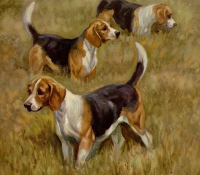 Beagling, Beagle