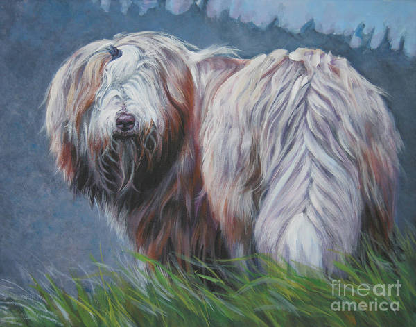 Bearded Collie, Beardie Bounce, herding style, herding, huntaway,