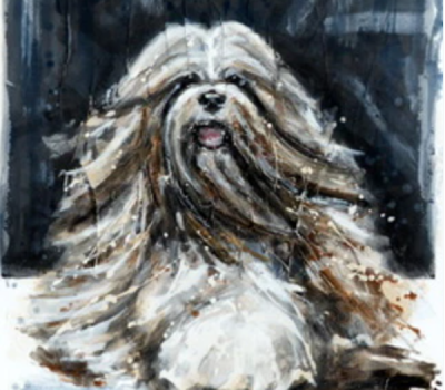 Lhasa Apso,lion dog, Buddha