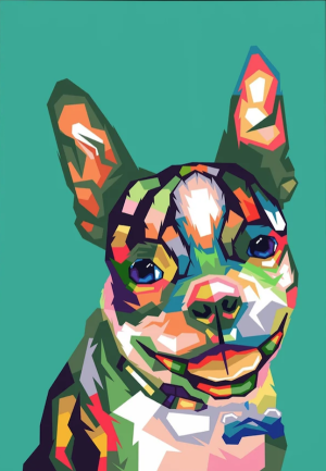Boston Terrier, color