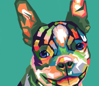 Boston Terrier, color