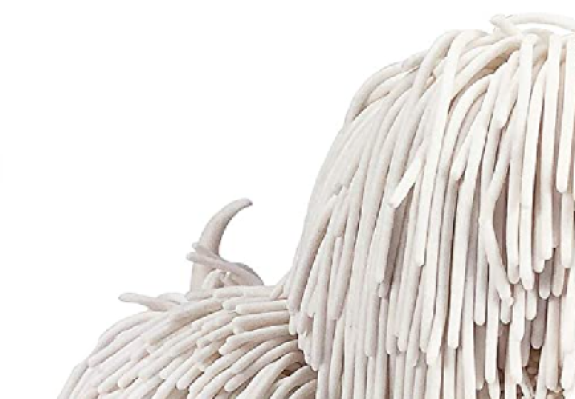 Komondor, corded coat, Puli, cords, coat, toy,