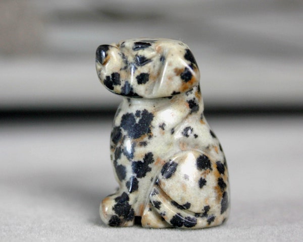 Dalmatian stone, Dalmatian jaspar, jewelry,