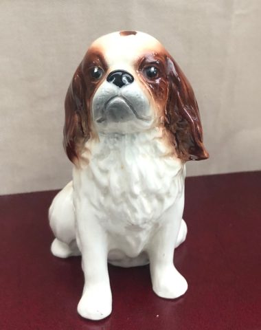 Blenheim, Lozenge,eyes,mark,spot, term, Cavalier King Charles Spaniel, Bloodhound,Duke of Marlborough