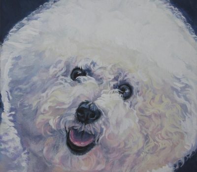 Bichon Frise, halo, eyes, pigment