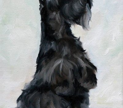 Scottish Terrier, bone, size 