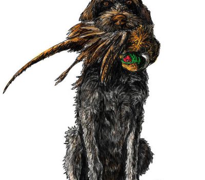 Korthals Griffon, the Wirehaired Pointing Griffon, Drahthaarige Vorstehhunde,Eduard Karel Korthals