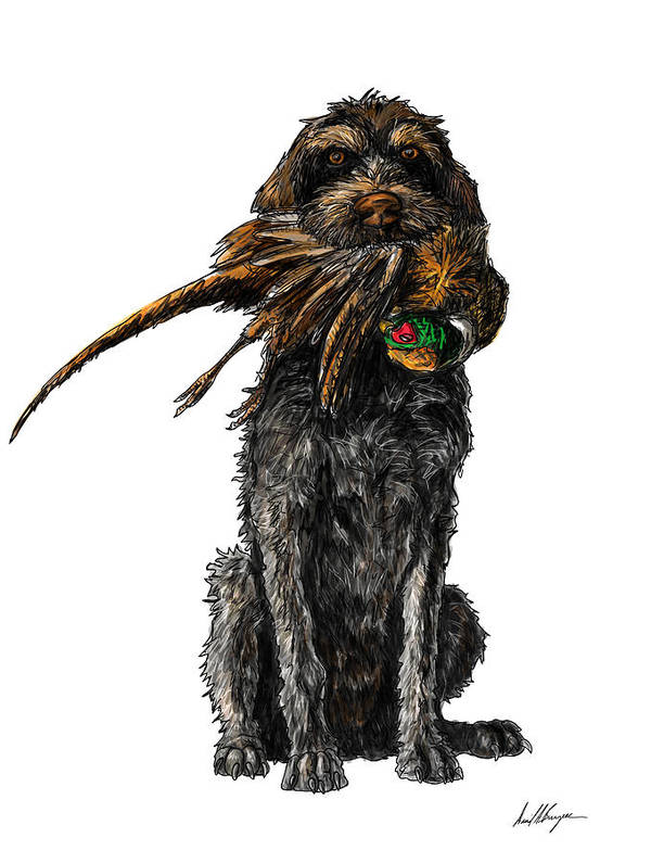 Korthals Griffon, the Wirehaired Pointing Griffon, Drahthaarige Vorstehhunde,Eduard Karel Korthals