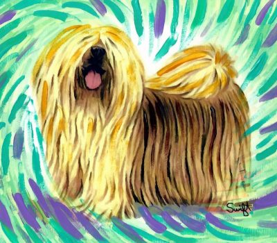 Apso Seng Kye, Bark Lion Sentinel Dog, Lhasa Apso, Tibetan Apso, Lion Dog, Sako, Abso Seng Kye, legend, mythology