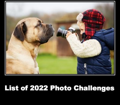 PhotoContest2022