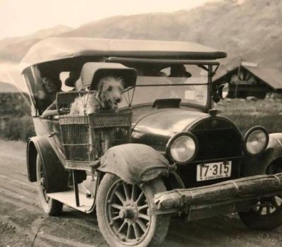 Irish Wolfhound, tank, Tactical Support Vehicle, vehicle, military