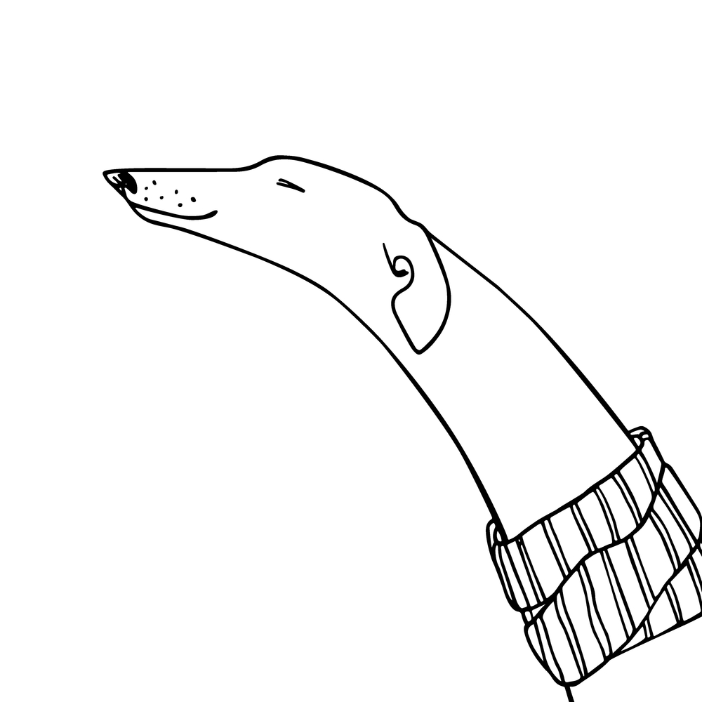 Greyhound, neck, head, jaws, Cephalic Index