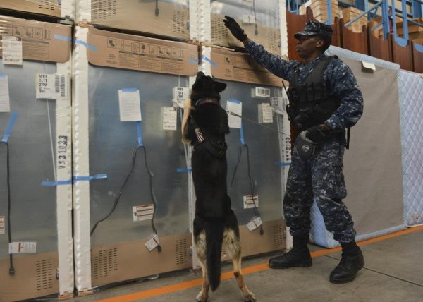 Lackland shuffle, K9, military dog, war dog, Department of Defense,Lackland Air Force base