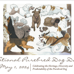 National Purebred Dog Day® - Celebrating The Diversity, Heritage, And ...