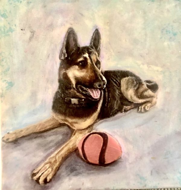 Max Entry In National Purebred Dog Day Fine Art Poster Competition 2024   Max 600x630 