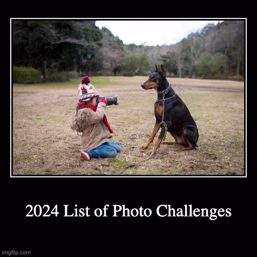PhotoContest2024