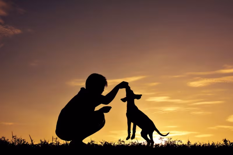 PhotoContest2024