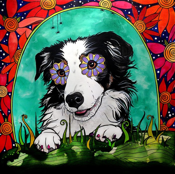Music, Jane Siberry, Border Collie Everything Reminds Me of My Dog, song, tune, Jane Siberry, Border Collie, Gwyllym