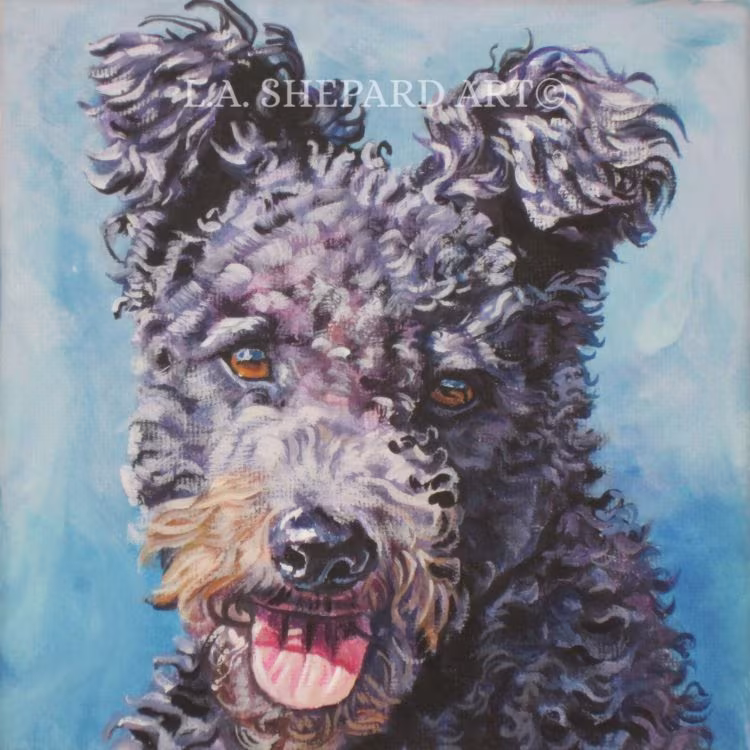 Pumi, coat,