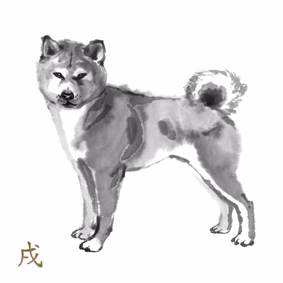 Shiba Inu, barking, Shiba Scream