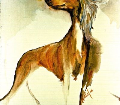 Saluki, al hurr, the noble one, Sir Terence Clark