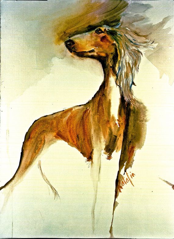 Saluki, al hurr, the noble one, Sir Terence Clark