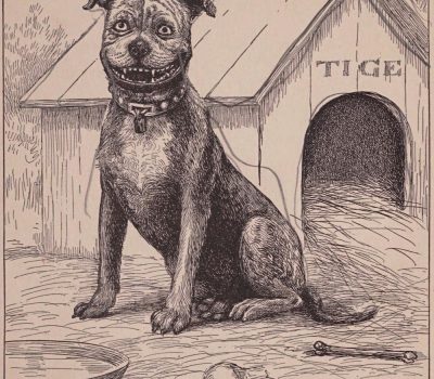 Buster Brown, Tige, comic-strip, Richard F. Outcault, American Pit Bull Terrier, "Bennett's Ring," Staffordshire Terrier  