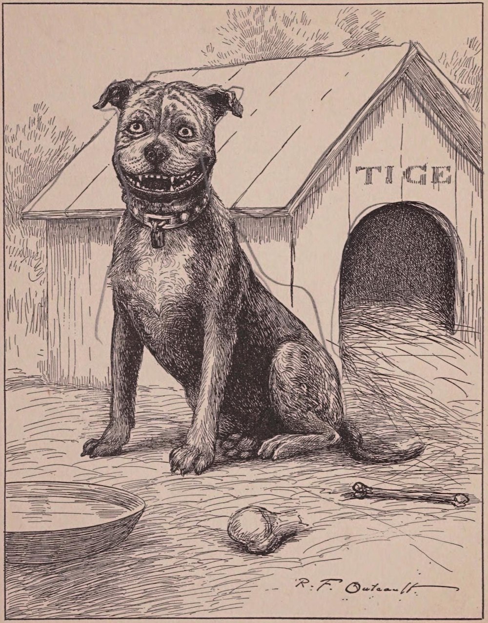 Buster Brown, Tige, comic-strip, Richard F. Outcault, American Pit Bull Terrier, "Bennett's Ring," Staffordshire Terrier  