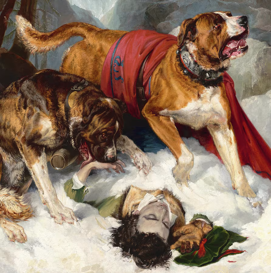|Saint Bernard, Alpine Mastiff, Edwin Landseer, "Lion," "L'Ami"
