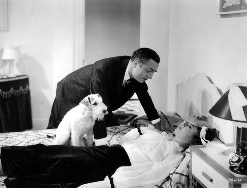 Asta,Wire Fox Terrier, Skippy, movies, TV, Nick and Nora, Nick and Nora glass, Thin Man