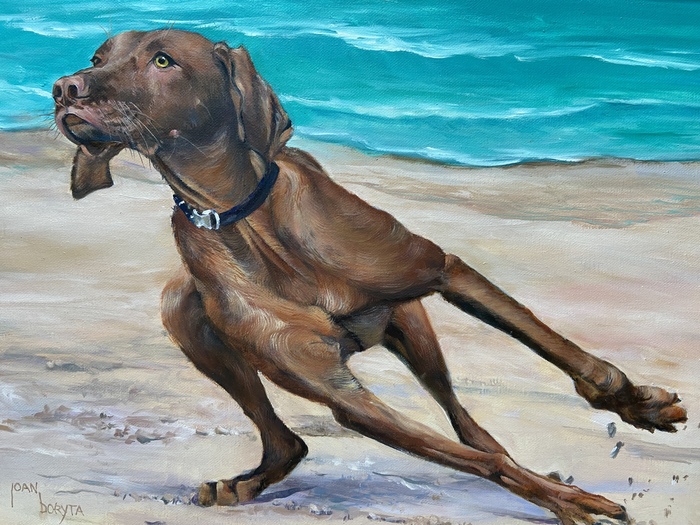 "Vizsla" Entry in National Purebred Dog Day Fine Art/Poster