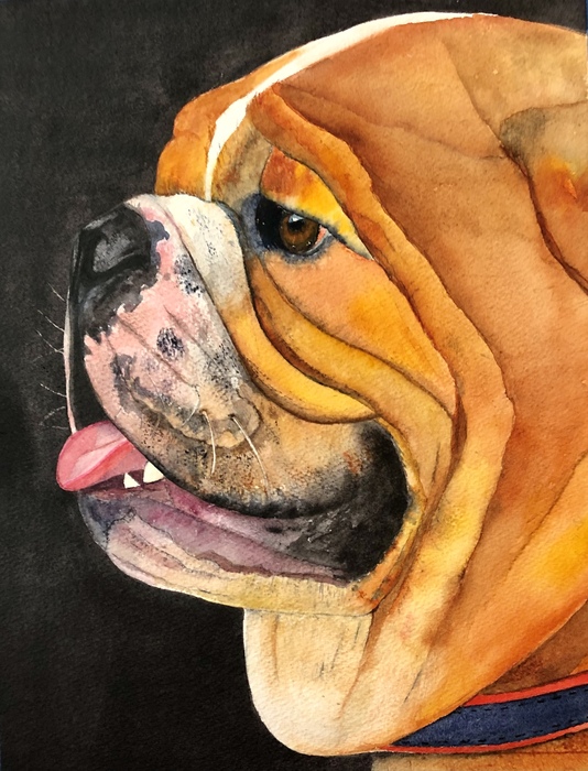 "Winston" Entry in National Purebred Dog Day Fine Art/Poster