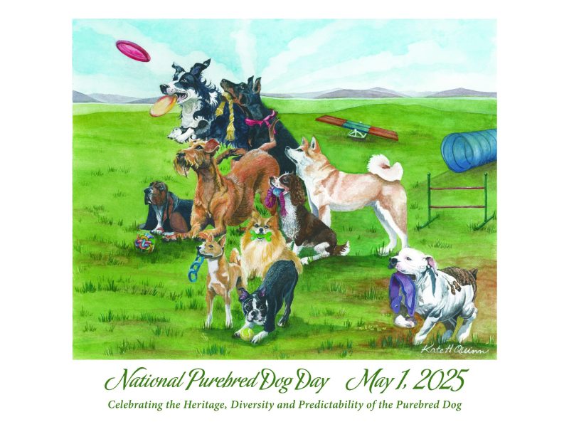 National Purebred Dog Day Official Poster for 2025 National Purebred