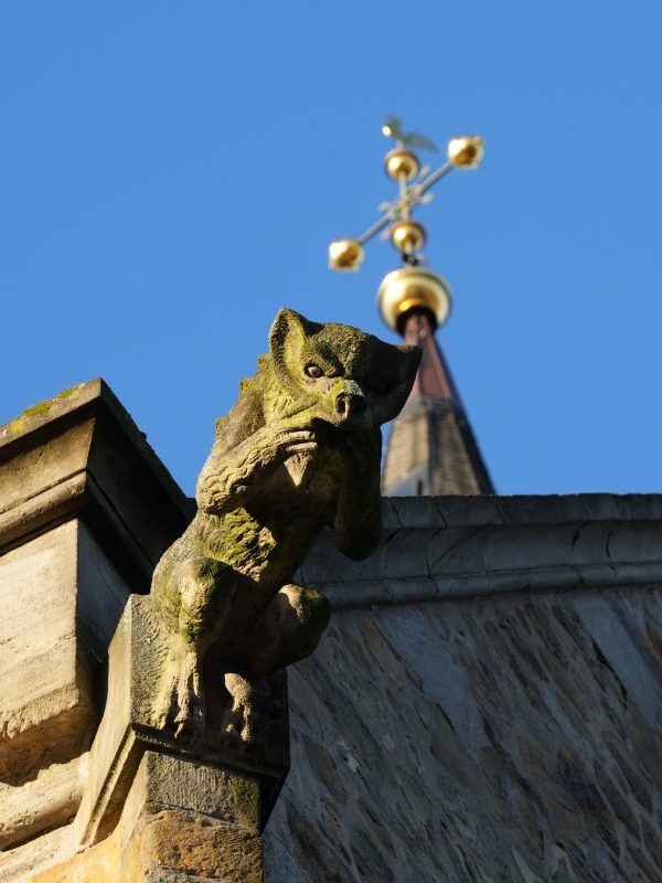 gargoyle, grotesque, Dachshund, 