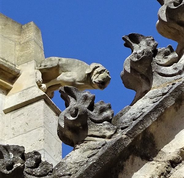 gargoyle, grotesque, Dachshund, 