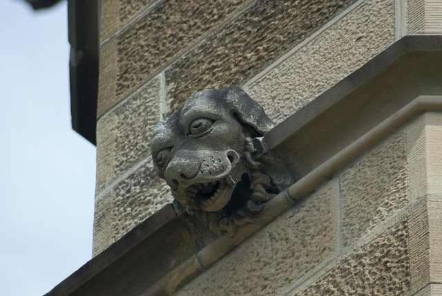 gargoyle, grotesque, dachshund