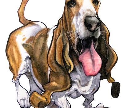 Basset Hound, celebrity, rex harrison, My Fair Lady