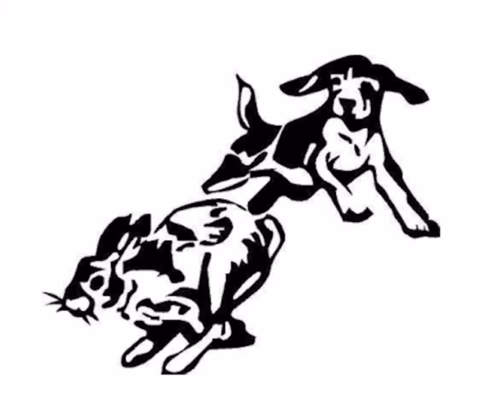 terms, Marking the Check, hunting, Beagle, trials, anchor hound