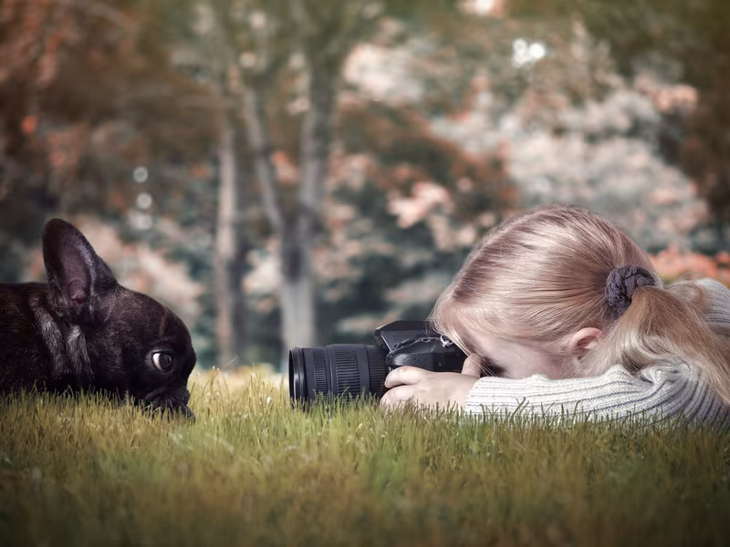 PhotoContest2025