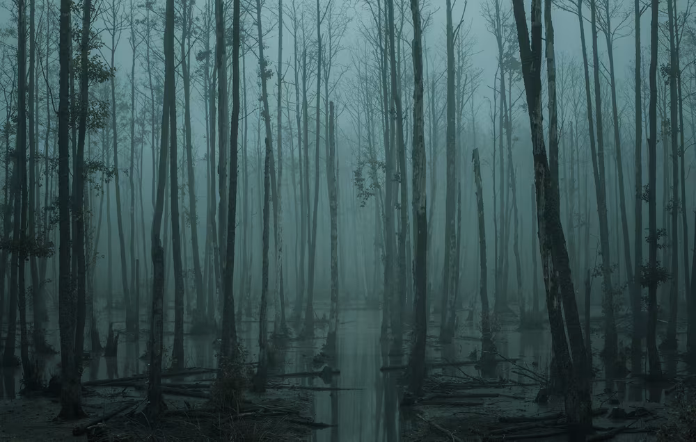 PhotoContest2025